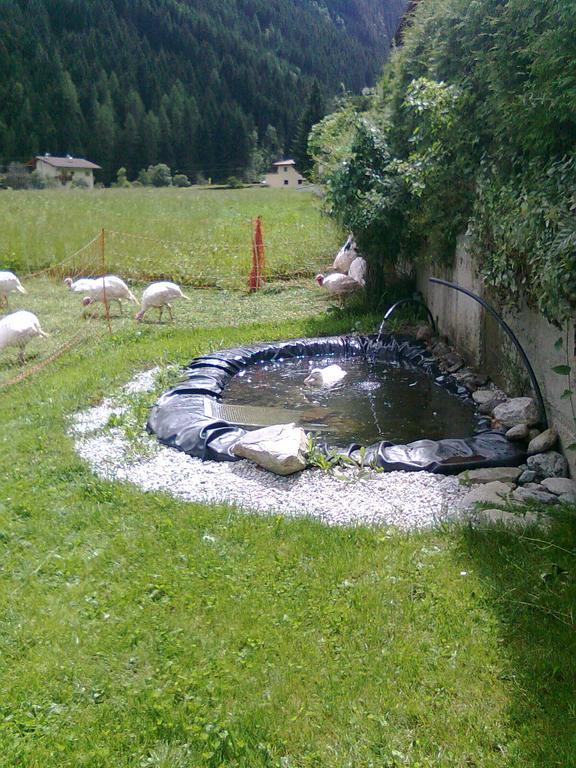 Luenerhof Guest House Neustift im Stubaital Eksteriør bilde